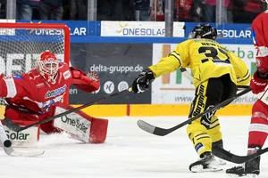 Die Krefeld Pinguine und der EV Landshut standen sich in der vergangenen DEL2-Saison gegenüber. Nun kommt der Aufsteiger erneut nach Niederbayern.